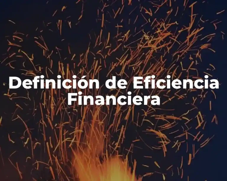 Definición de Eficiencia Financiera