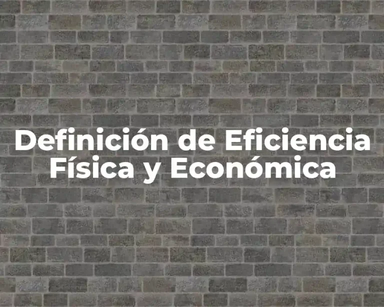 Definición de Eficiencia Física y Económica