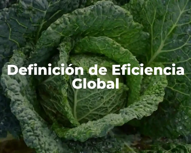 Definición de Eficiencia Global