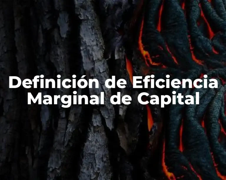 Definición de Eficiencia Marginal de Capital