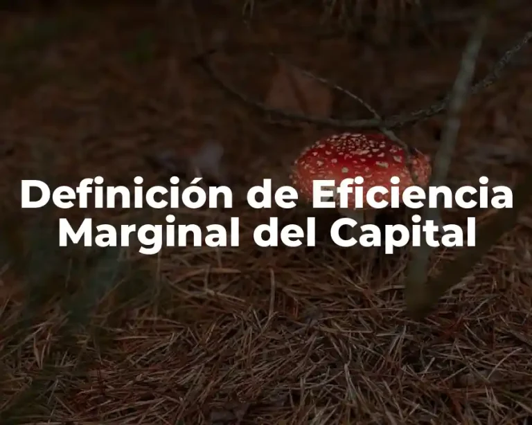 Definición de Eficiencia Marginal del Capital