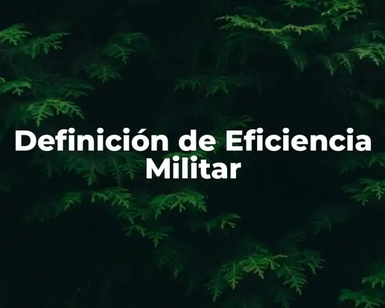 Definición de Eficiencia Militar