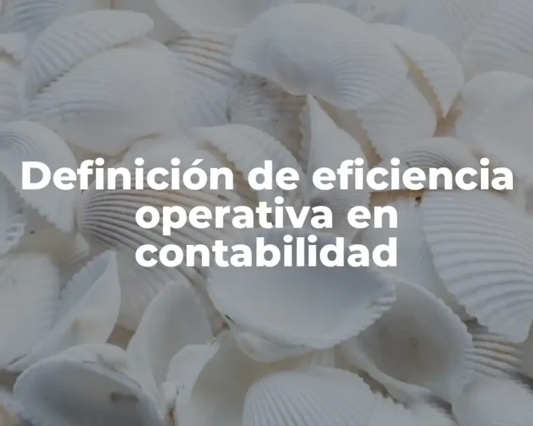 Definición de eficiencia operativa en contabilidad