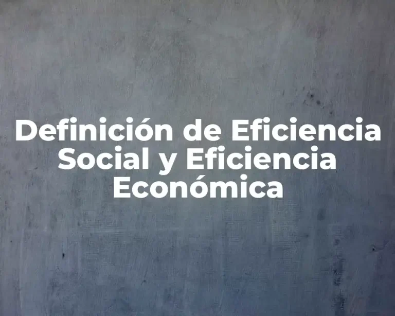 Definición de Eficiencia Social y Eficiencia Económica