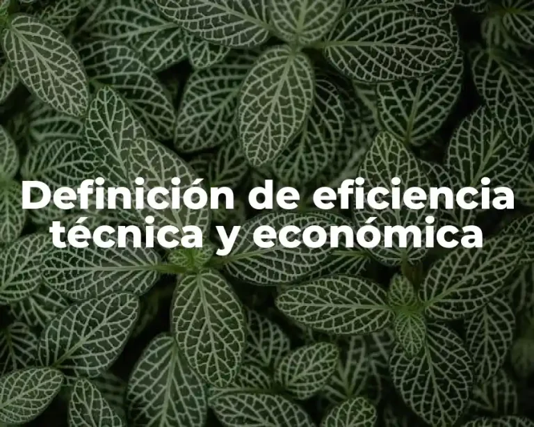 Definición de eficiencia técnica y económica