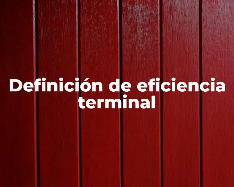 Definición de eficiencia terminal