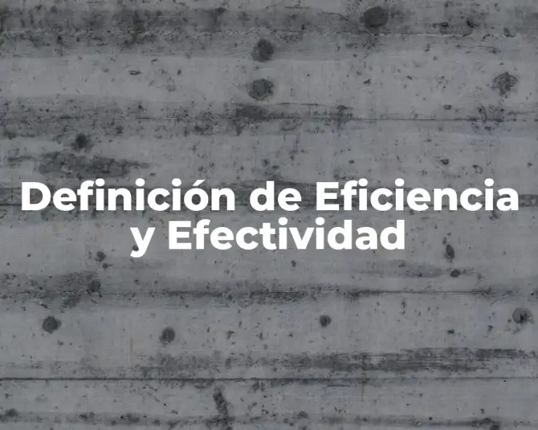 Definición de Eficiencia y Efectividad