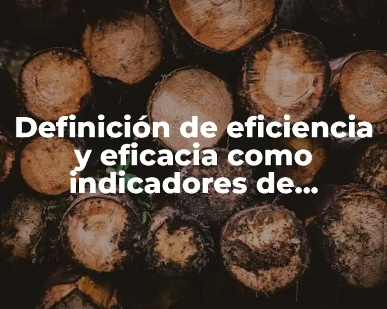 Definición de eficiencia y eficacia como indicadores de resultados