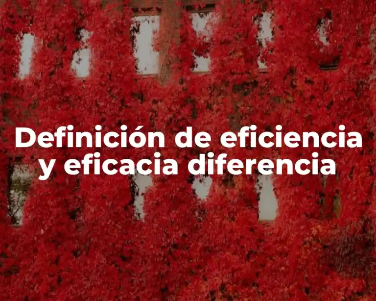 Definición de eficiencia y eficacia diferencia