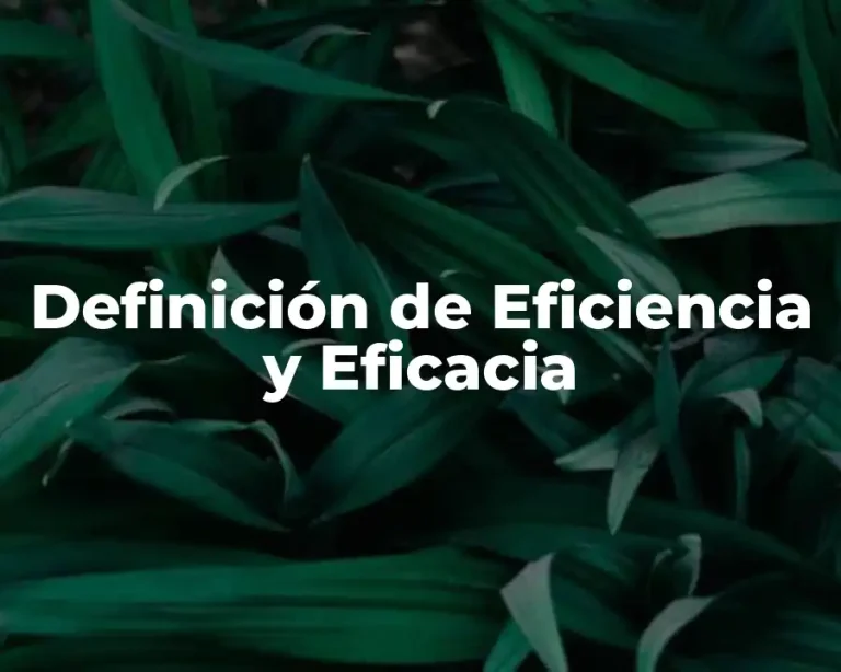 Definición de Eficiencia y Eficacia