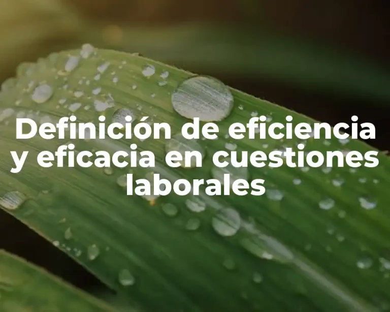 Definición de eficiencia y eficacia en cuestiones laborales