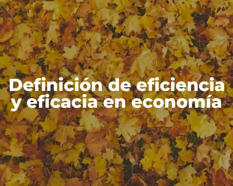 Definición de eficiencia y eficacia en economía
