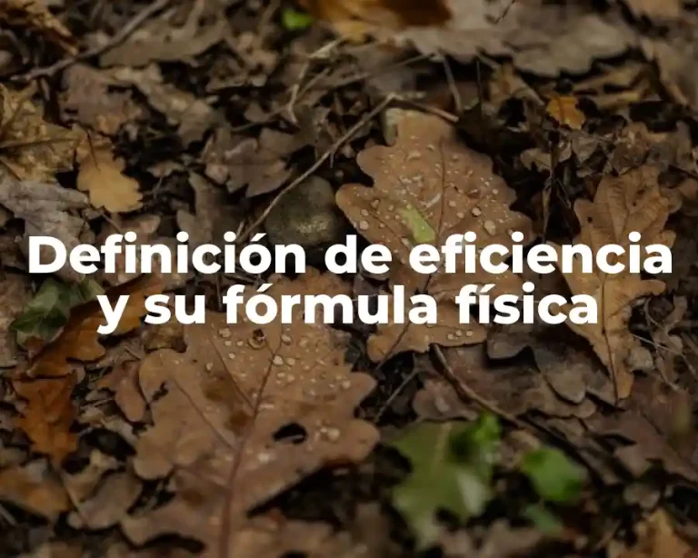 Definición de eficiencia y su fórmula física