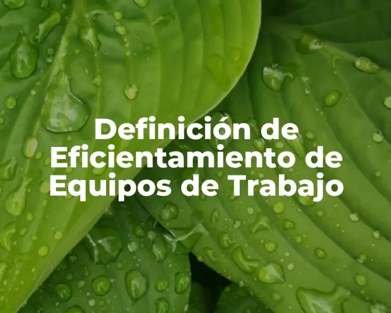 Definición de Eficientamiento de Equipos de Trabajo