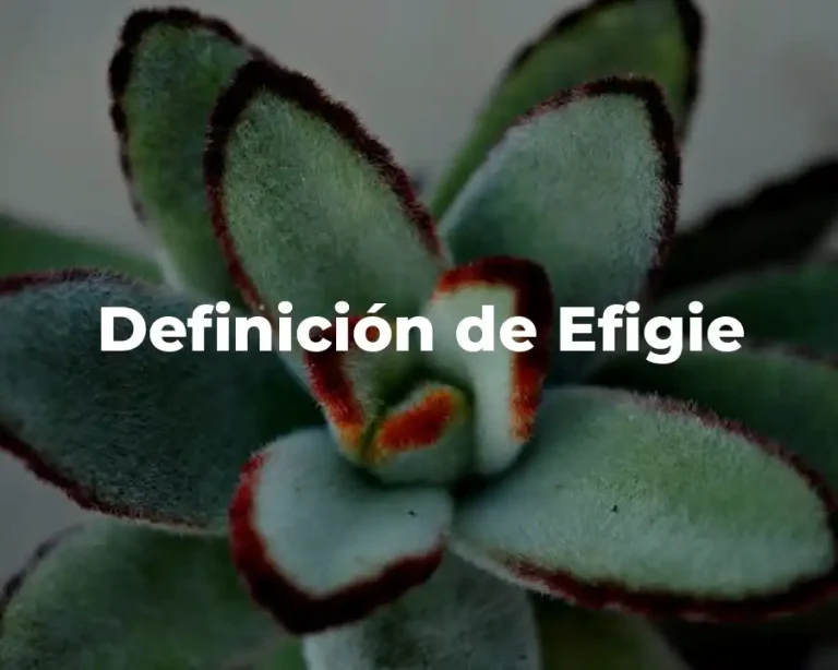 Definición de Efigie
