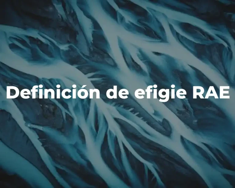 Definición de efigie RAE