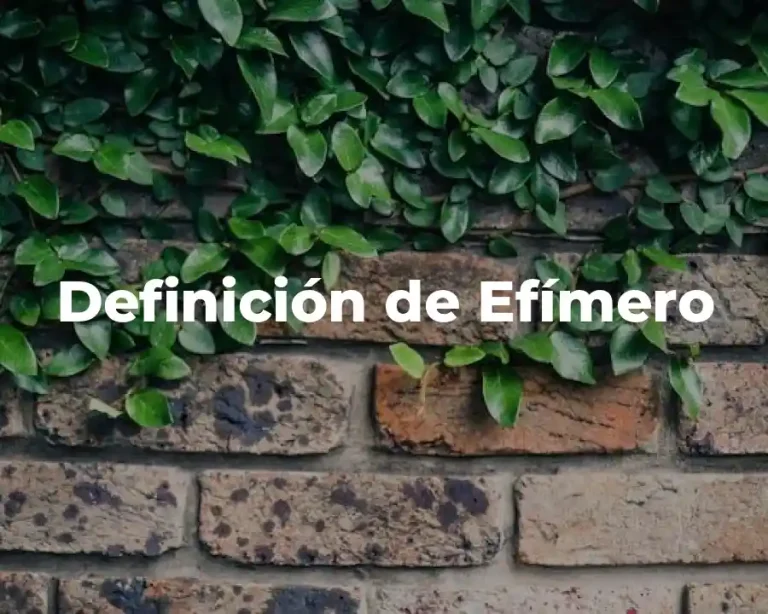 Definición de Efímero