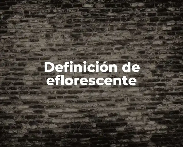 Definición de eflorescente