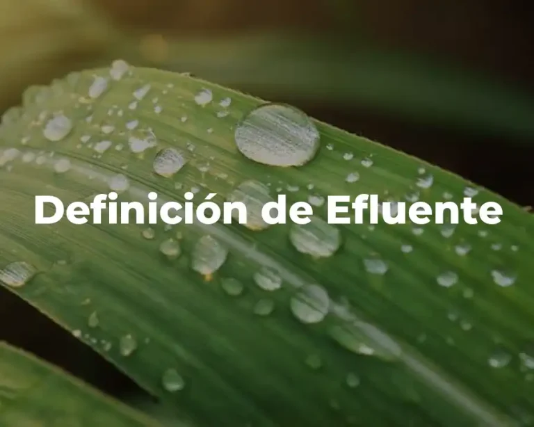 Definición de Efluente