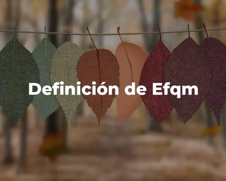 Definición de Efqm
