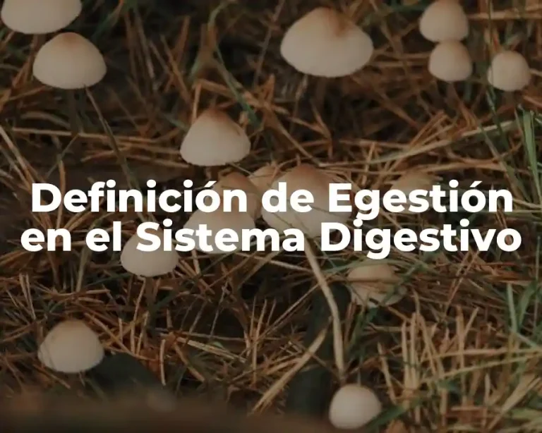 Definición de Egestión en el Sistema Digestivo