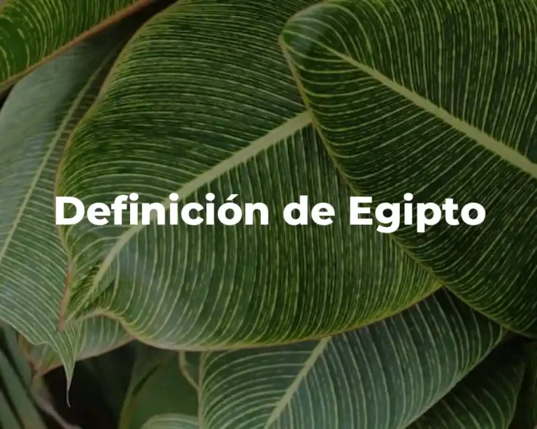 Definición de Egipto