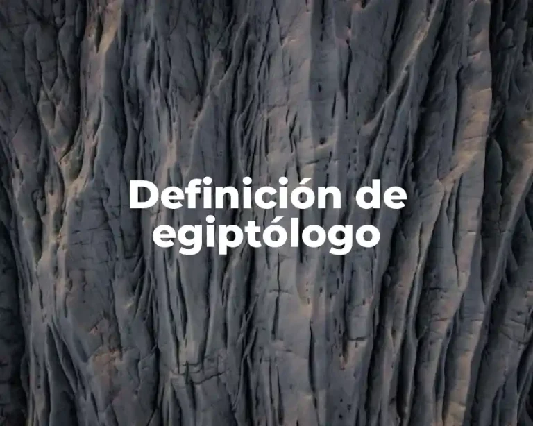Definición de egiptólogo