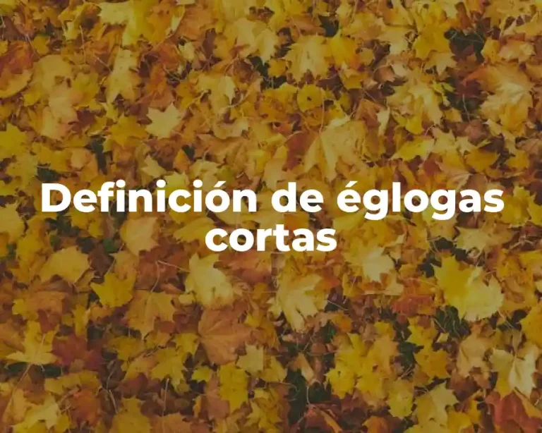 Definición de églogas cortas