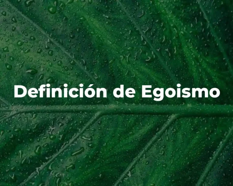 Definición de Egoismo