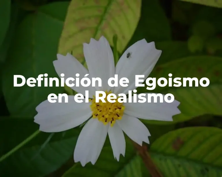 Definición de Egoismo en el Realismo