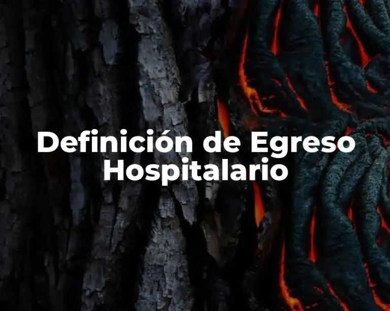 Definición de Egreso Hospitalario