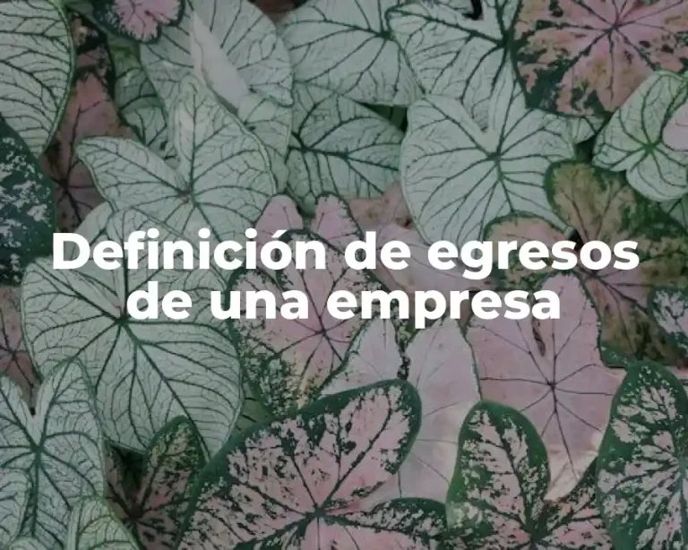 Definición de egresos de una empresa