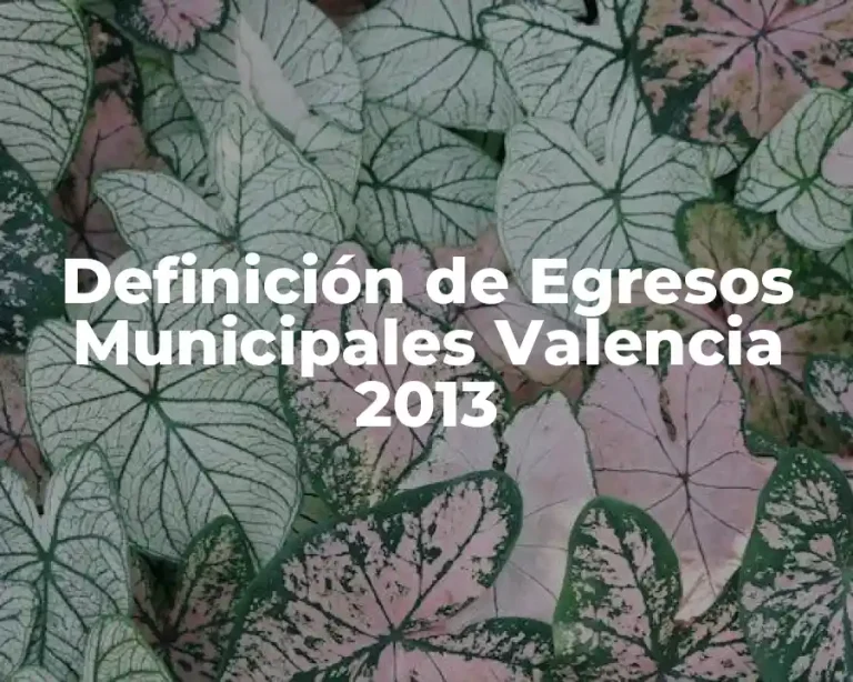 Definición de Egresos Municipales Valencia 2013