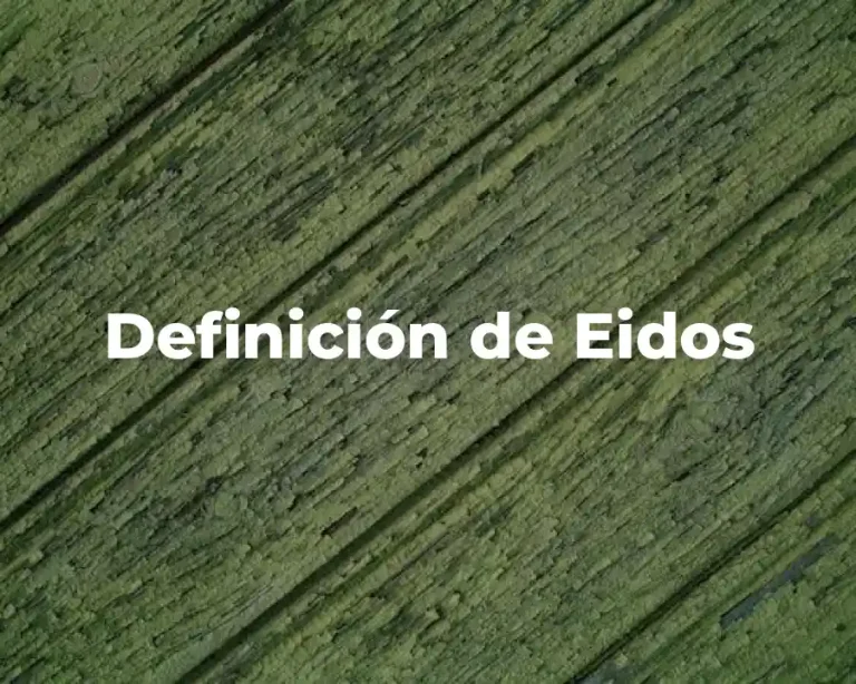 Definición de Eidos