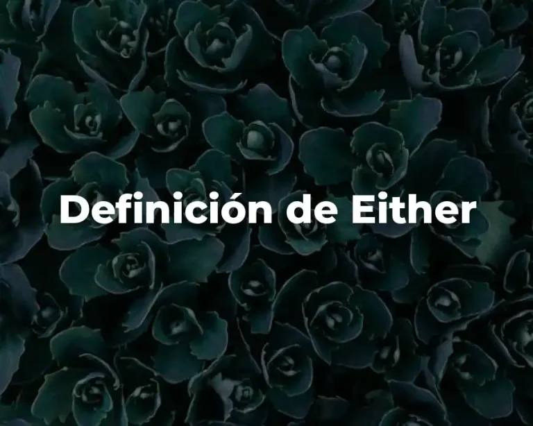 Definición de Either