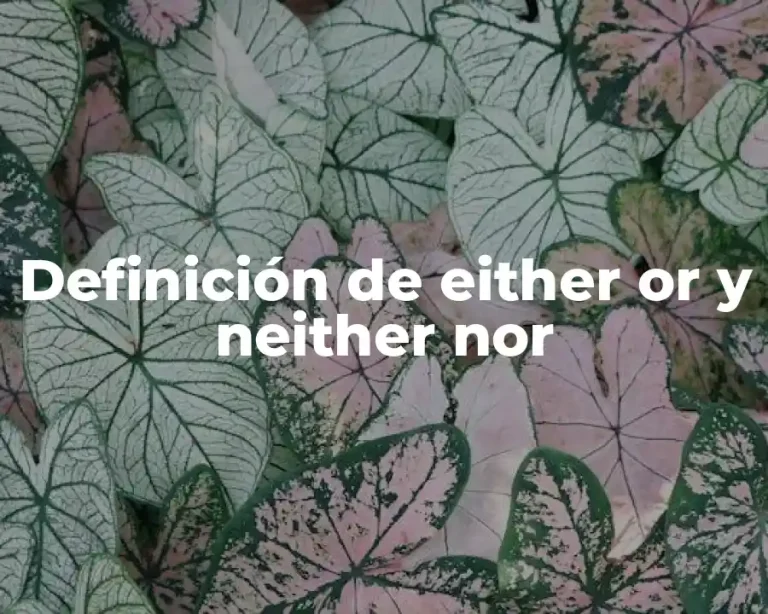 Definición de either or y neither nor