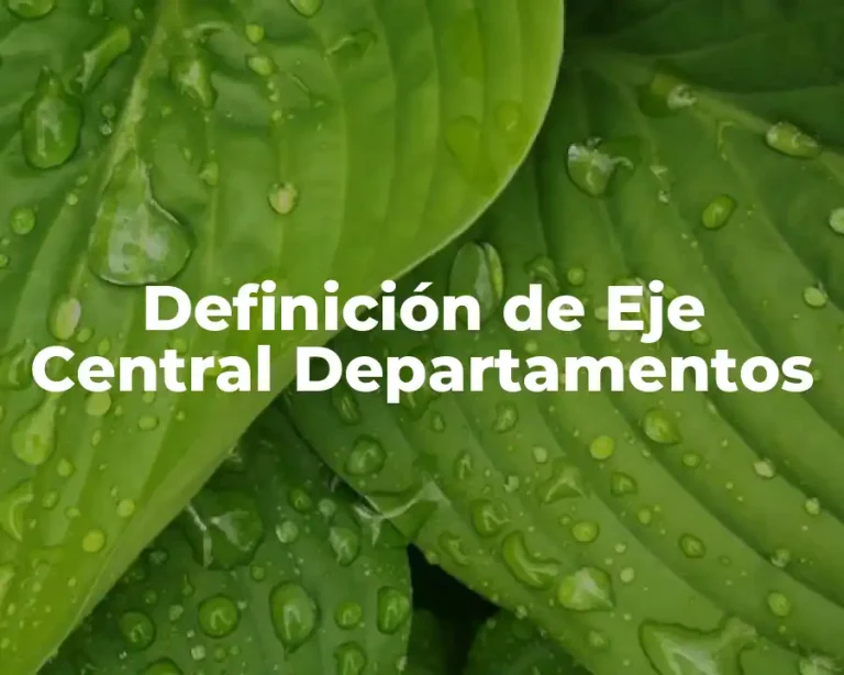 Definición de Eje Central Departamentos
