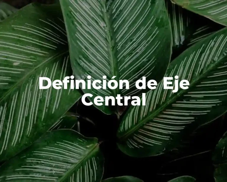 Definición de Eje Central