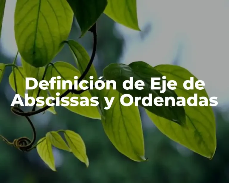 Definición de Eje de Abscissas y Ordenadas