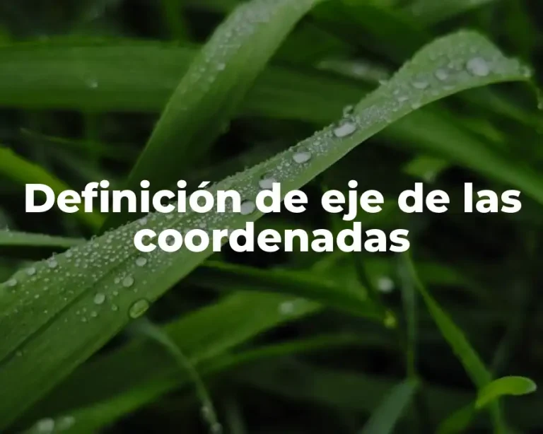 Definición de eje de las coordenadas