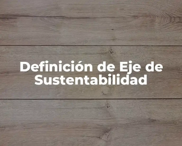 Definición de Eje de Sustentabilidad