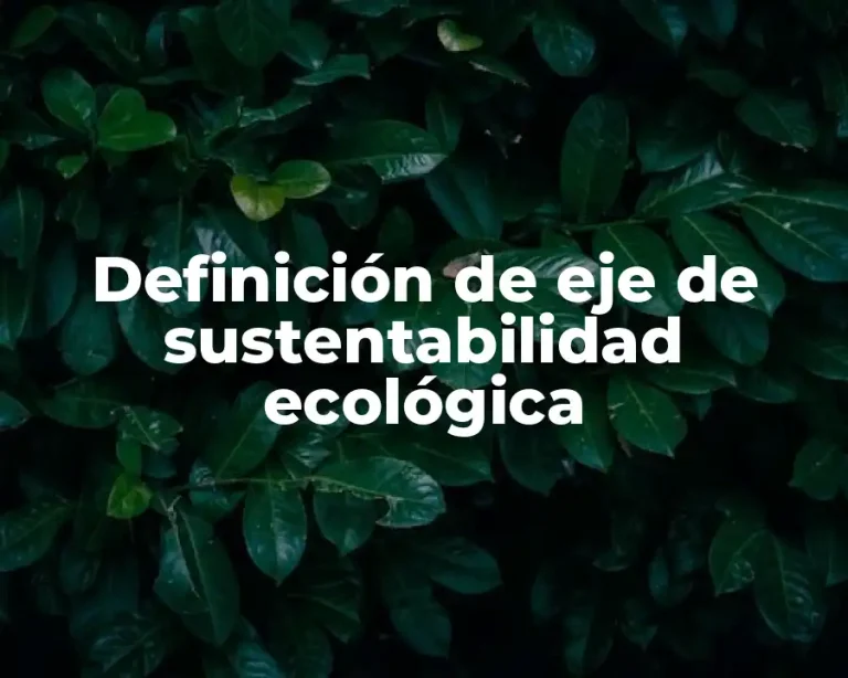 Definición de eje de sustentabilidad ecológica