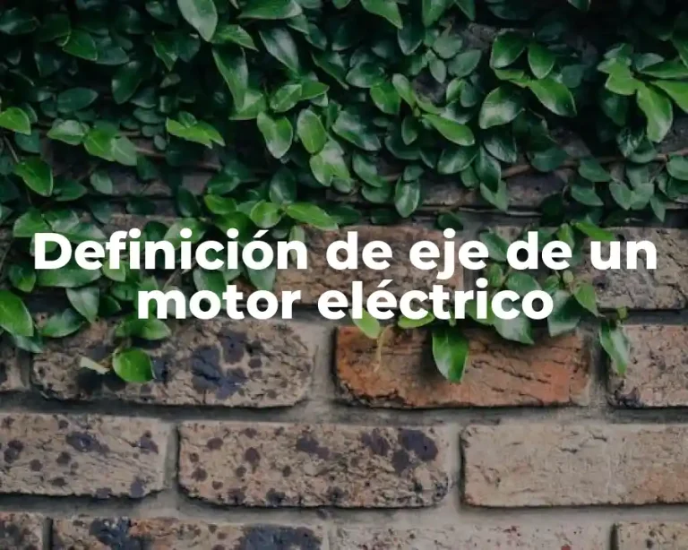 Definición de eje de un motor eléctrico