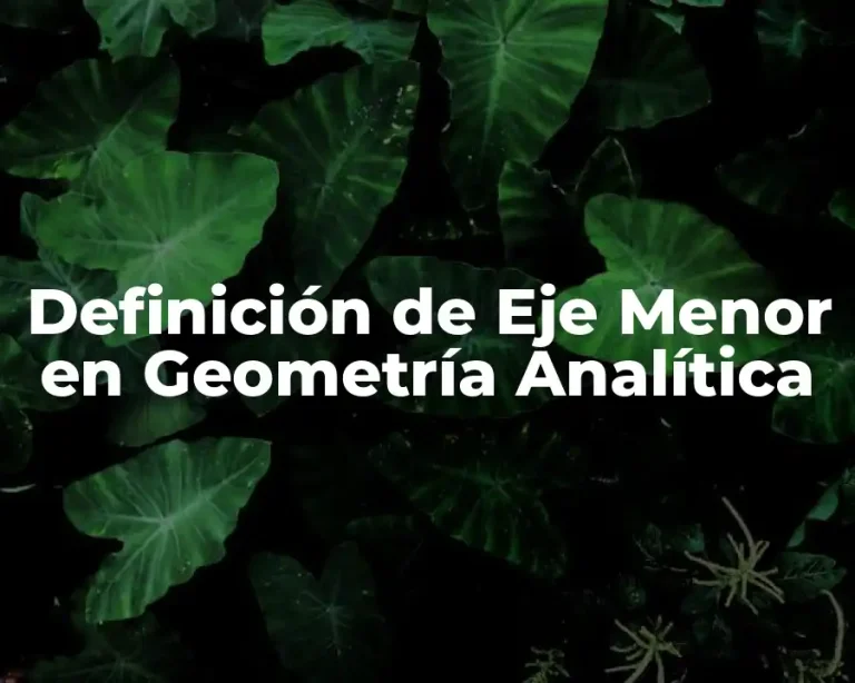 Definición de Eje Menor en Geometría Analítica