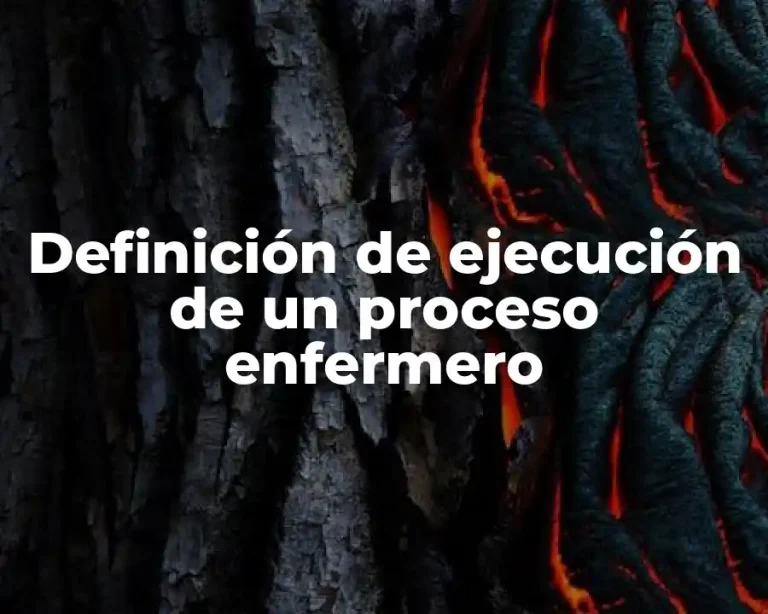 Definición de ejecución de un proceso enfermero