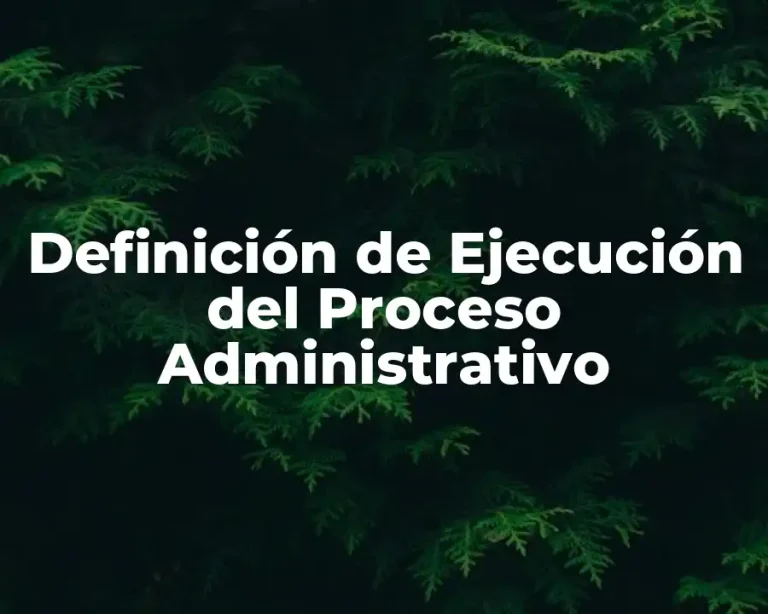 Definición de Ejecución del Proceso Administrativo