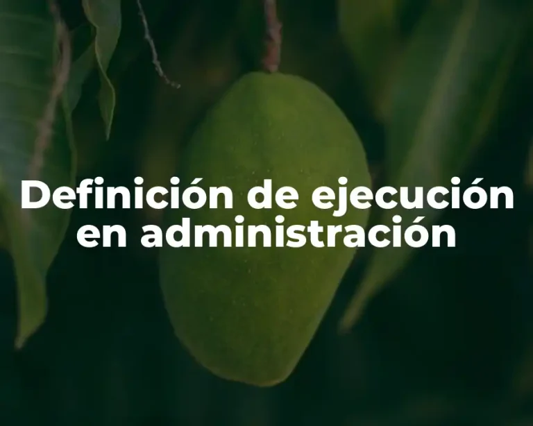 Definición de ejecución en administración