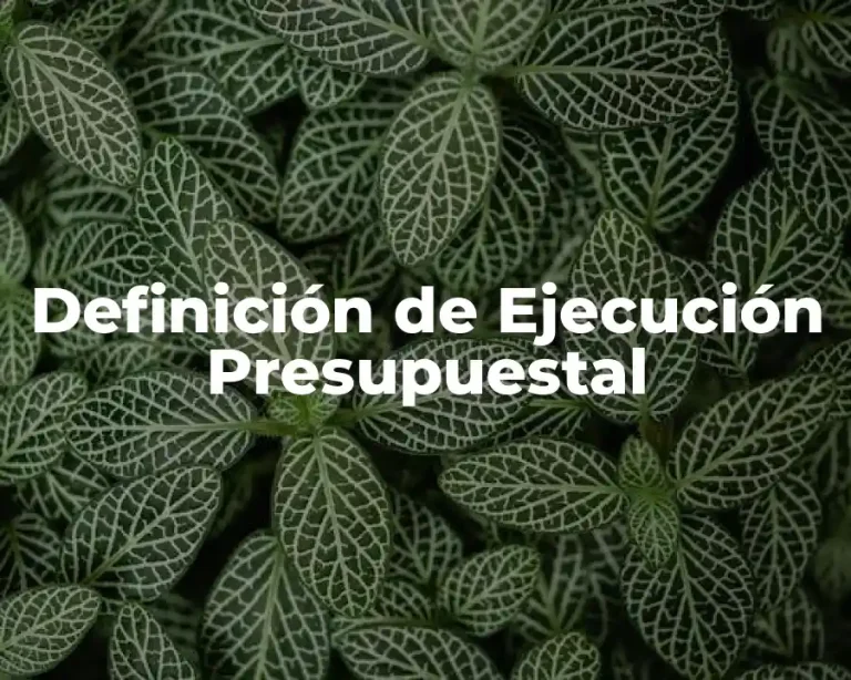 Definición de Ejecución Presupuestal