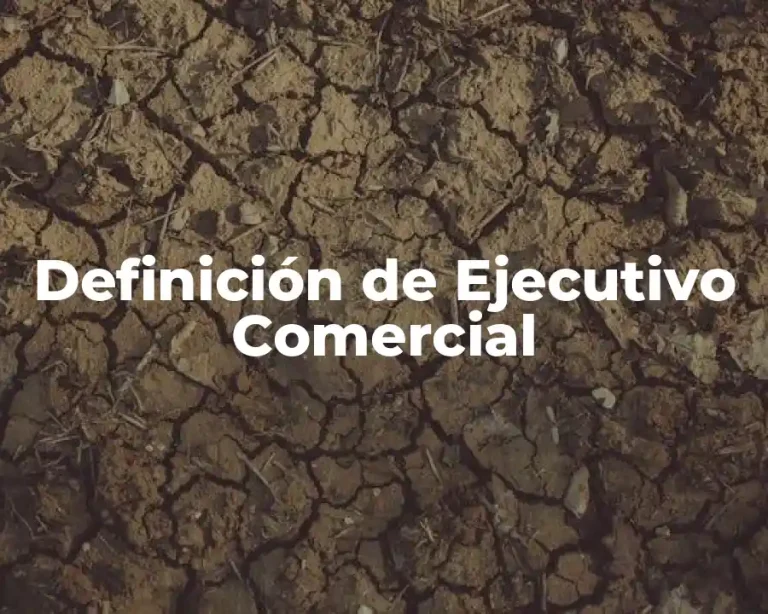 Definición de Ejecutivo Comercial