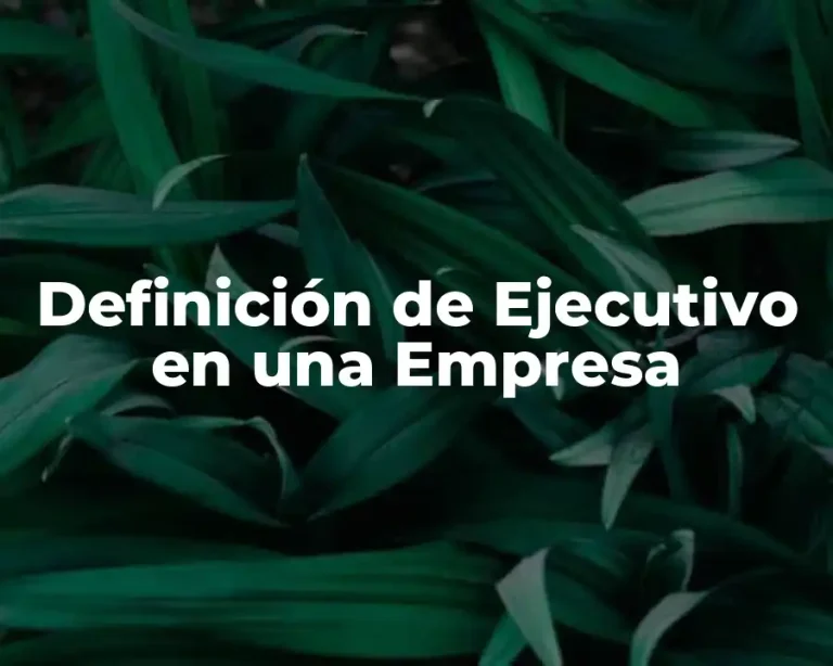 Definición de Ejecutivo en una Empresa